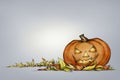 Pumpkin with grim face expression in autumn leaves, horizontal f Royalty Free Stock Photo