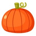 illustration of pumpkin white on background