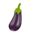  illustration purple eggplant with green petal isolated