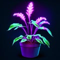 Illustration of a purple houseplant in a pot on a dark background AI Generated