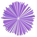 Purple sunburst circle illustration.