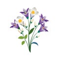 Illustration of purple and white crocus flowers isolated on white background, botanical vector image Royalty Free Stock Photo