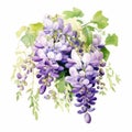 Watercolor Wisteria Flower Bouquet Detailed Art In Naturalistic Style