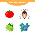 Illustration. puzzle game for preschool and school age children. find the inedible. tomato, gooseberry, blueberry, beetle