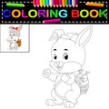 Rabbit coloring book