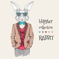 Illustration of rabbit hipster dressed up in jacket, pants and sweater. Vector illustration