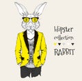 Illustration of rabbit hipster dressed up in jacket, pants and sweater. Vector illustration Royalty Free Stock Photo