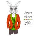 Illustration of rabbit hipster dressed up in jacket, pants and sweater. Vector illustration