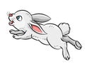 Illustration of Rabbit - Vector Illustration