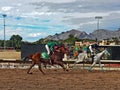 Illustration of 3 racehorses crossing the finish line