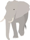 Illustration, realistic elephant