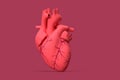 Illustration of realistic human heart. 3D illustration