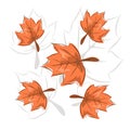 Illustration of realistic maple leaf pattern background