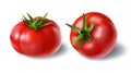 illustration of a realistic style set of red fresh tomatoes with green stems