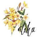 Illustration with realistic watercolor Plumeria flowers. Beautiful bouquet with tropical plants and word-Aloha.