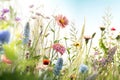 Illustration of realistic wildflowers in a meadow. Different types of blooming plants on the field against the blue sky. Generated Royalty Free Stock Photo