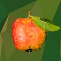 Illustration of a red apple with green leaf in the style low poly Royalty Free Stock Photo