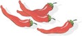 Illustration of red chilli peppers on white background Royalty Free Stock Photo