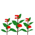 illustration of a red flower background with beautiful petioles
