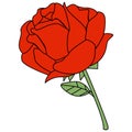 Illustration of a Red rose cartoon style Royalty Free Stock Photo