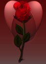 Illustration of red rose under spot lights that create a heart s