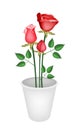 Illustration Red Roses in A Flower Pot