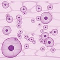 Illustration representing a cell structure, ovum, virus, microscopic isolated