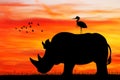Rhino Silhouette At Sunset