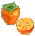 Illustration of ripe persimmon fruit Royalty Free Stock Photo