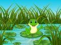 River scene with happy frog on leaf