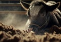 A calf being roped at a rodeo, all the action created by Generative Ai Royalty Free Stock Photo