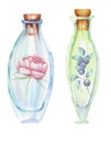 Illustration romantic and fairytale watercolor bottles with forest blueberries branches and peony flowers inside