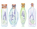 Illustration romantic and fairytale watercolor bottles with tender lavender flowers inside