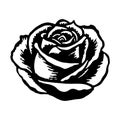 Illustration of rose in drawing stencil style.