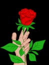 illustration of a rose held by a hand in a beautiful and romantic pose Royalty Free Stock Photo
