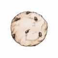 Illustration of a Round biscuit with chocolate chips