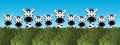 Cute cartoon zebras looking over a green hedge