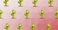 Illustration of rows of green cacti on pink background