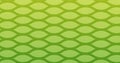 Illustration of rows of green mesh on light green background