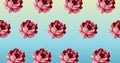 Illustration of rows of red flowers on blue background Royalty Free Stock Photo