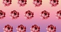 Illustration of rows of red flowers on pink background Royalty Free Stock Photo