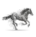 Illustration of a running horse Royalty Free Stock Photo