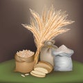 Illustration with rye foodstuff