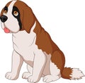 Saint Bernard dog breed