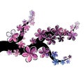 A branch of sakura with falling petals. Vector illustration Royalty Free Stock Photo