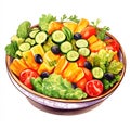 illustration of Salad is food that very much vegetables are carrot broccoli brinjal cucumber tomatoes capsicums etc