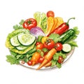 illustration of Salad is food that very much vegetables are carrot broccoli brinjal cucumber tomatoes capsicums etc