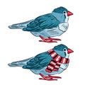 illustration of the same bird warm dressed and undressed