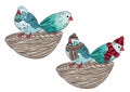 illustration of the same birds warm dressed and undressed