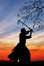 Samurai with sword at sunset Royalty Free Stock Photo